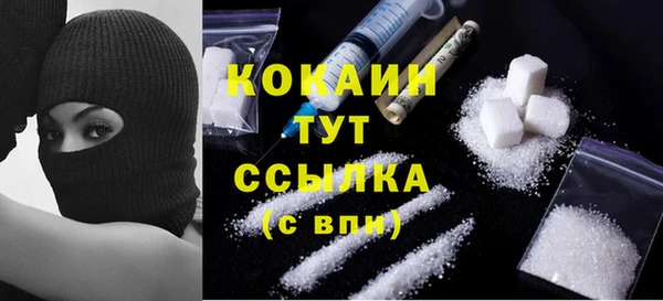 индика Абинск