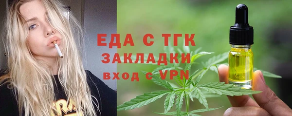 индика Абинск