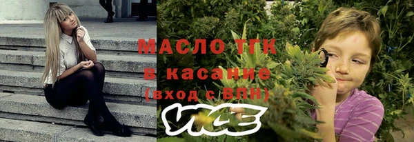индика Абинск