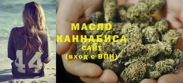 индика Абинск