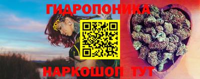 альфа пвп Волгодонск