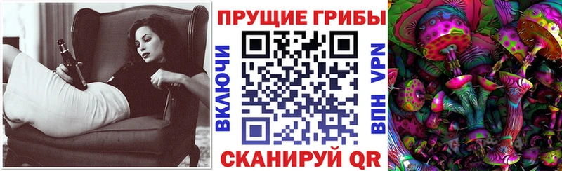 Псилоцибиновые грибы GOLDEN TEACHER  Астрахань 